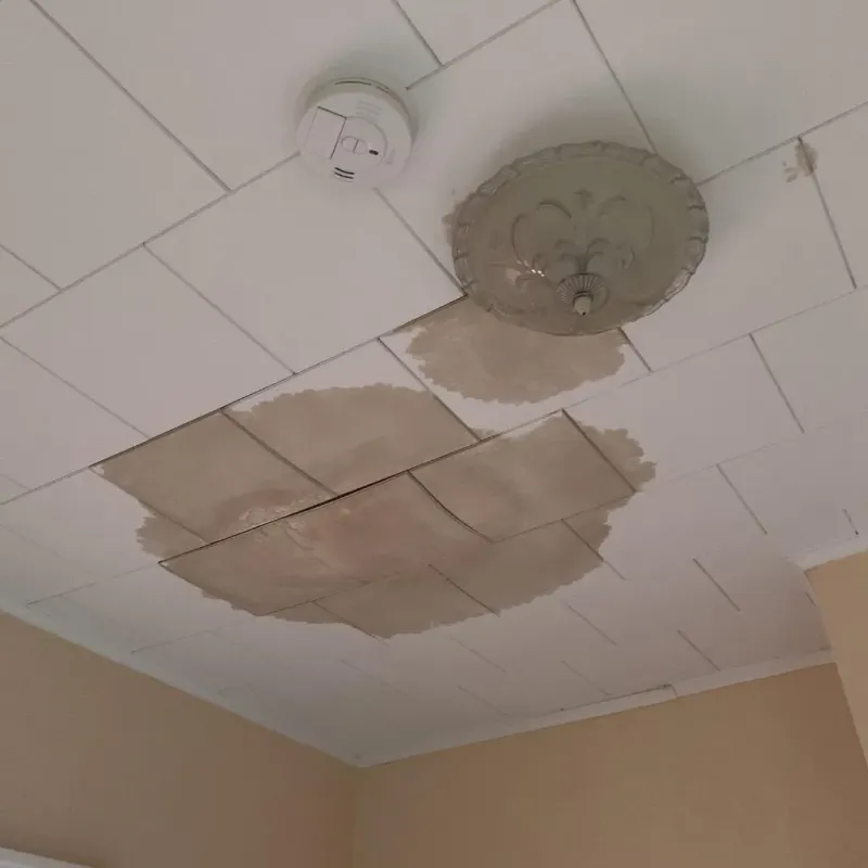 Ceiling Water Damage Repair in Buckingham, FL